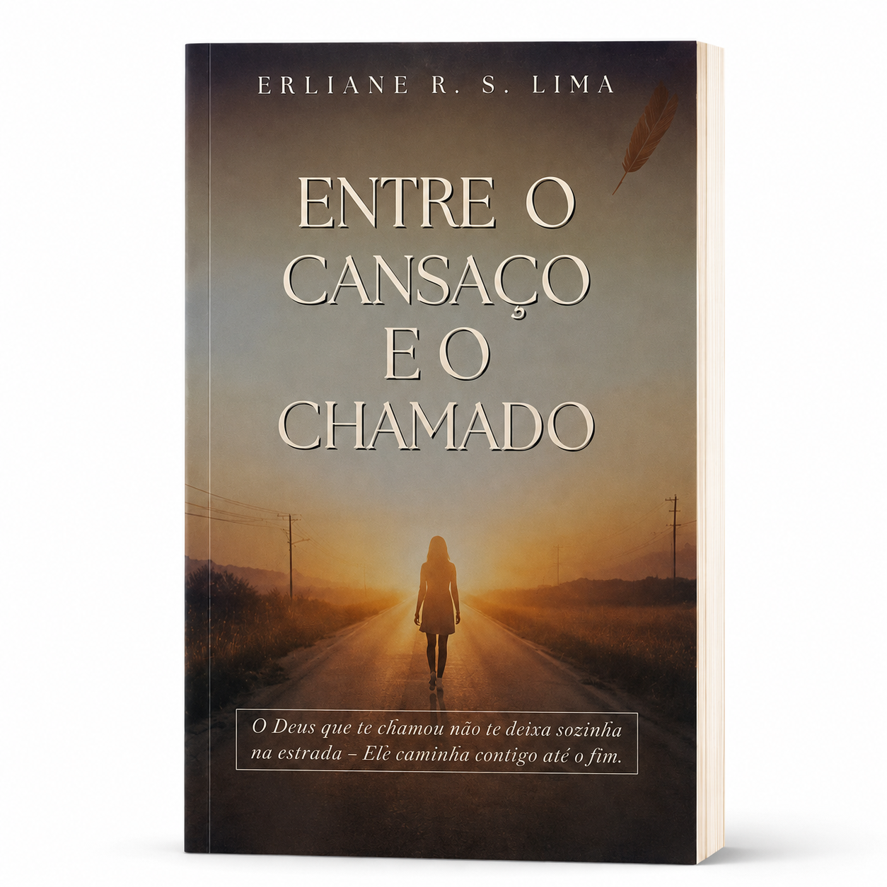 Capa do livro Entre o Cansaço e o Chamado, de Erliane R. S. Lima